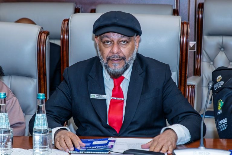 Honourable Imraan Moosa at a parliamentary or international engagement